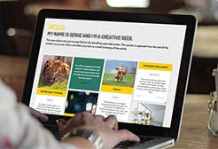 Link Building Link Building