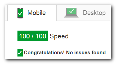 Page Speed 100/100 Mobile